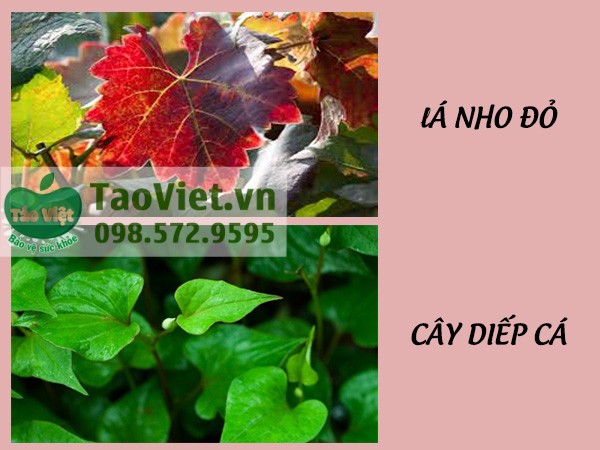 Trilado_11