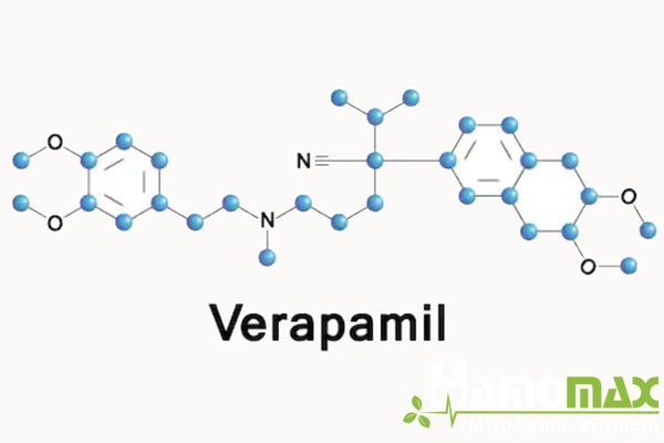 Verapamil là một trong những thuốc nổi bật trong điều trị tăng huyết áp