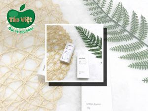 Kem chống nắng Innisfree Daily Soft Sunscreen Stick SPF50+ PA++++