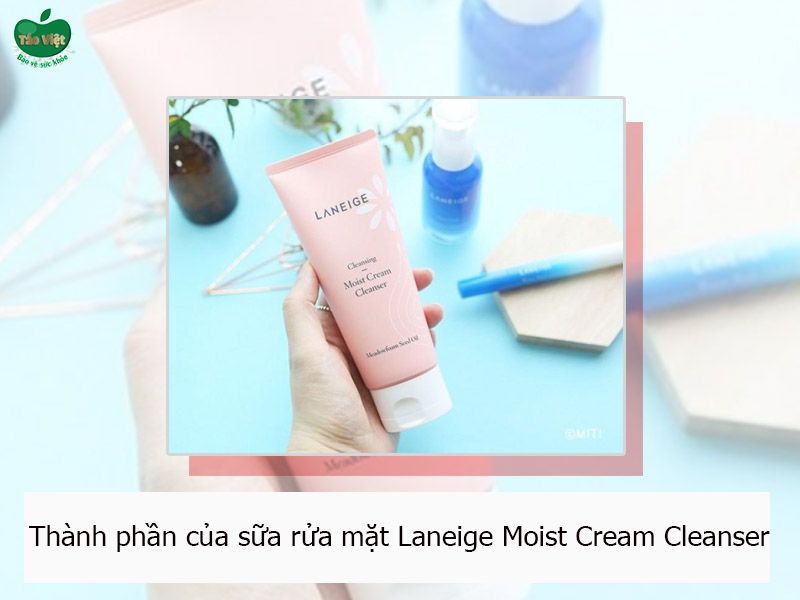 Thành phần trong sữa rửa mặt Laneige Moist Cream Cleanser