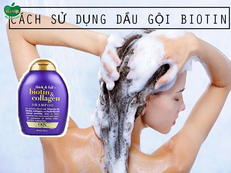 Cách sử dụng dầu gội Biotin Collagen