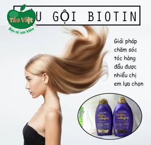 Dầu gội dành cho tóc gãy rụng Biotin