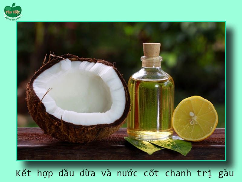 Kết hợp dầu dừa và nước cốt chanh trị gàu