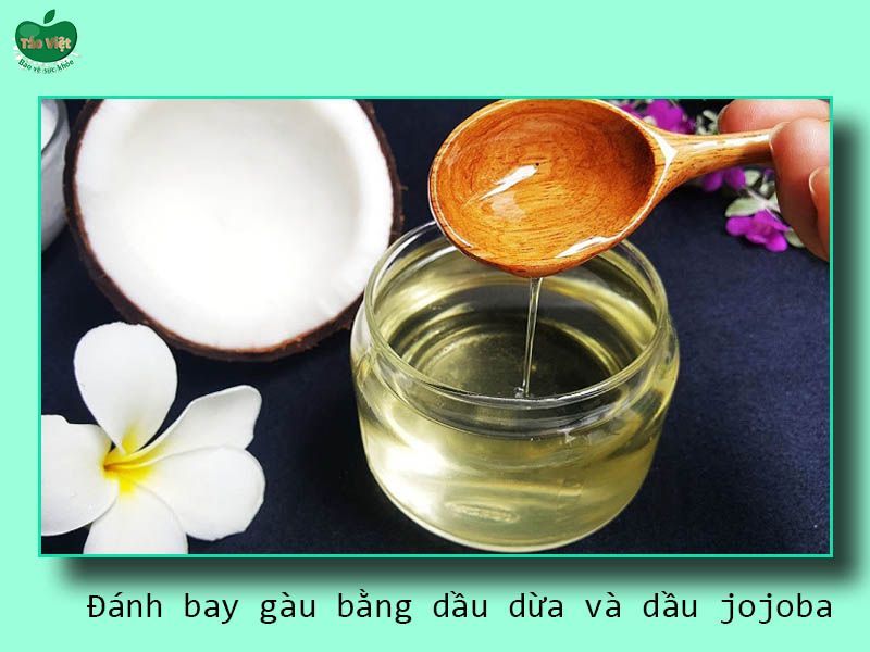 Đánh bay gàu bằng dầu dừa và dầu jojoba