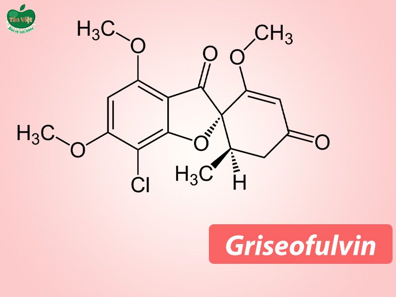 Sử dụng Griseofulvin để trị da đầu có nhiều vảy trắng