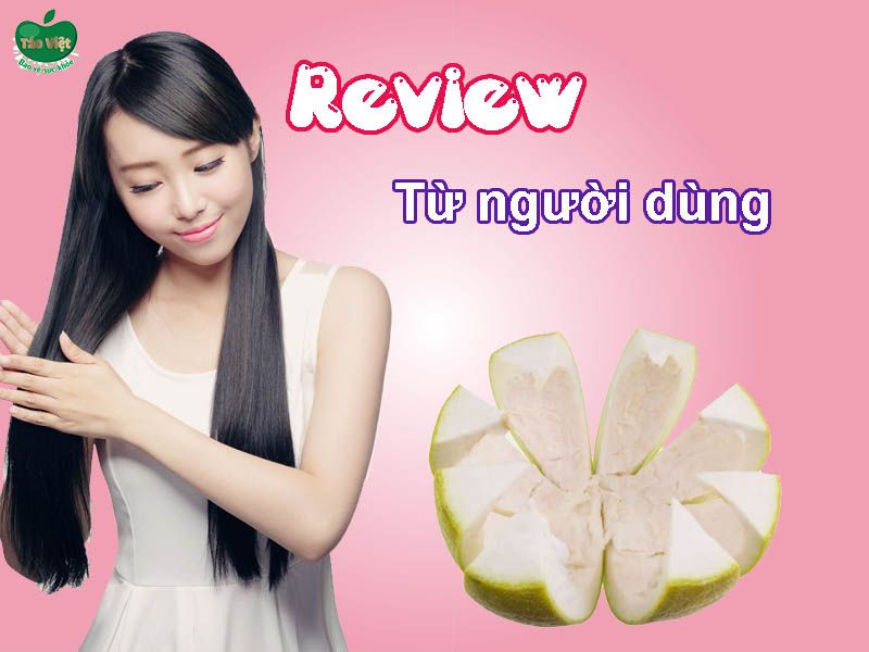 Review từ ngươi dùng trên Webthetro