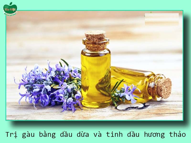 Mẹo trị gàu bằng dầu dừa và tinh dầu hương thảo